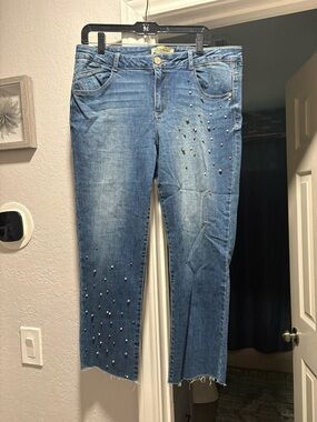 Democracy Embellished Cropped Jeans in Blue